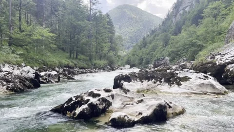 Fast mountain river flowing through forest with rocky stream and alpine land Vídeos de archivo 342024683