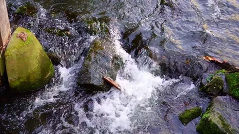 A fast mountain river flows among the rocks Stock Footage 299018700