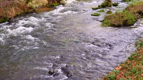A fast mountain river flows among the stones. On one side, there is a stone wall Stock Footage 299067179