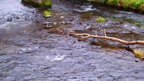 A fast mountain river flows among the stones. On one side, there is a stone wall Stock Footage 299067209