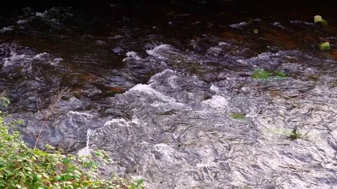A fast mountain river flows among the stones. On one side, there is a stone wall Stock Footage 299077598