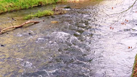 A fast mountain river flows among the stones. On one side, there is a stone wall Stock Footage 299078658