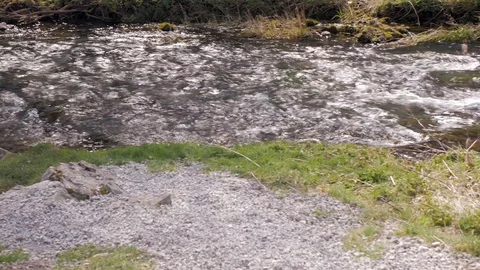 Fast mountain river flows over the threshold Stock Footage 106776776