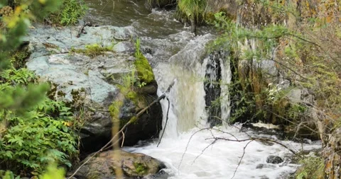 A fast mountain river running among the stones forms a waterfall. Waterfall Stock Footage 205073016