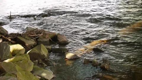 Fast mountain river in spring. Video stock 248667600