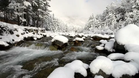 Fast mountain river with stony rapids and snowy forest on a sunny winter day Stock Footage 86222983