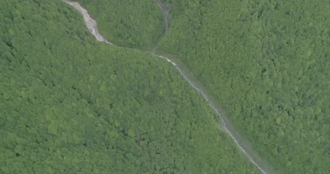 Fast Mountain River through Georgian Forest from Above Stock Footage 130855243