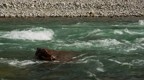 Fast Mountain River Water Flow Stock Footage 49096130