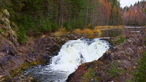 Fast mountain river water stream waterfall flowing near the rocky shore Stock Footage 311798541