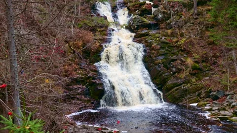 Fast mountain river water stream waterfall flowing near the rocky shore Video stock 311798838