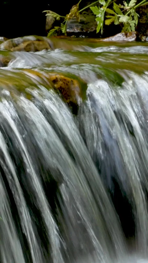 A fast mountain stream descends the mountain Stock Footage 317849453