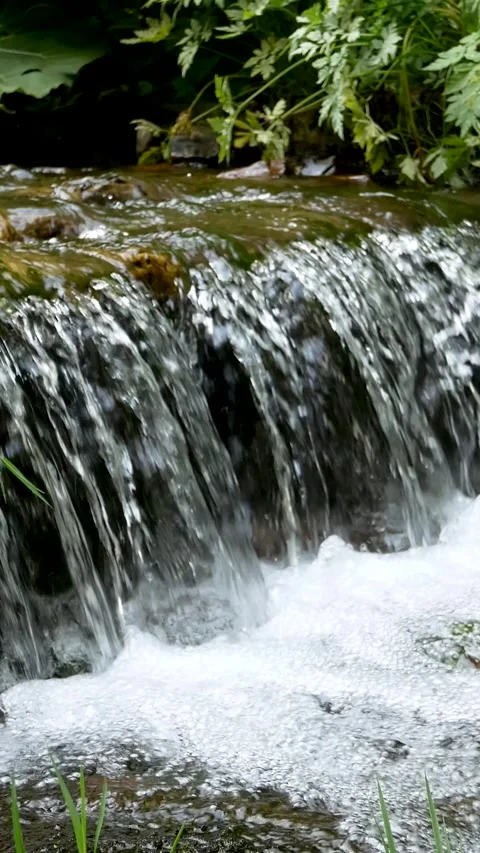 A fast mountain stream descends the mountain Stock Footage 317849558