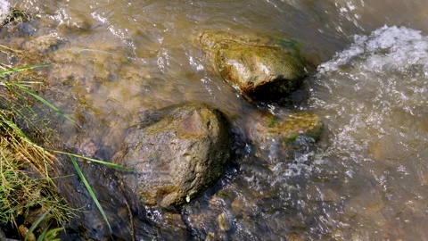 Fast mountain stream flowing over large rocks with green grass bank. Stock Footage 315903381