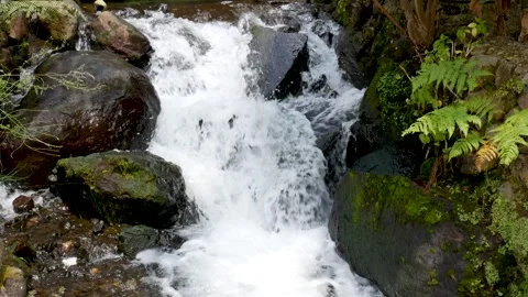 Fast Mountain Stream Flowing Over Rocks  Handheld Shot Video stock 338237844