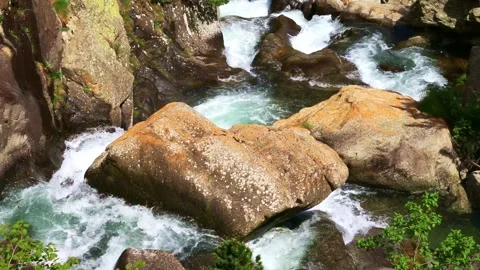 Fast Mountain Stream Flowing Over Rocks Stock Footage 341363710