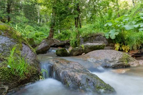 A fast mountain stream in the forest, flowing over stones Stock Photos