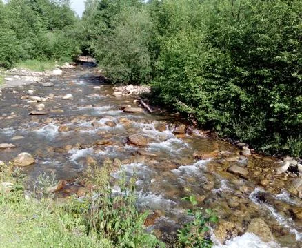 Fast mountain stream Stock Photos