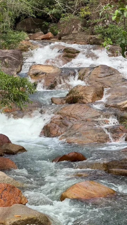 Fast mountain stream runs through a rocky channel, with dense green vegetation Stock Footage 327837504