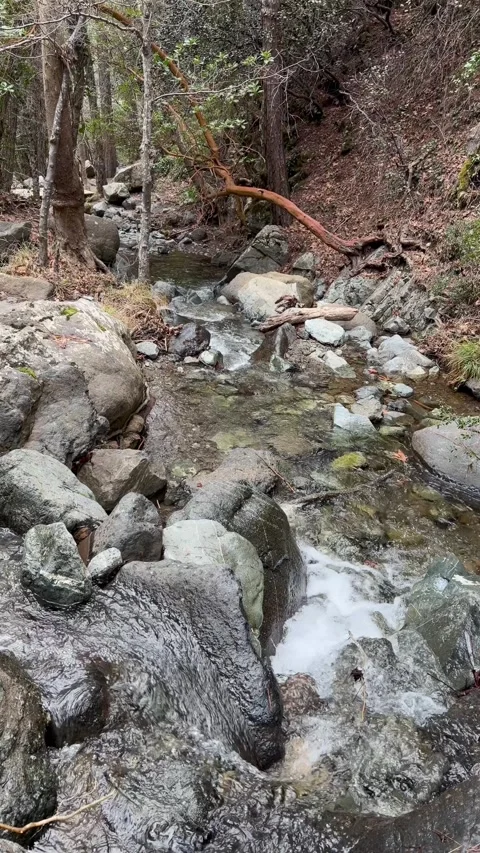 Fast mountain stream rushes over rocky boulders in wild natural landscape with Stock Footage 334663578