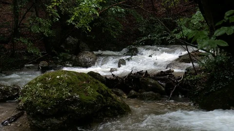 A fast mountain stream. Spring flood. Stock Footage 86607658