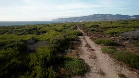 Fast moving aerial drone view in Guincho, Portugal above grassland Stock Footage 243898260