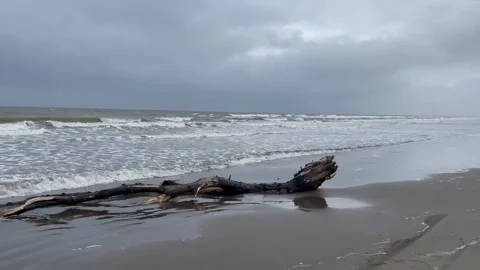 Fast moving alone grey sand beach coastline with waves and cloudy sky Stock Footage 279686317
