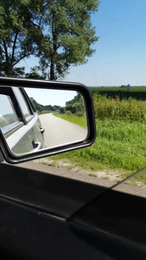 Fast-moving car drives through a lush summer forest in Sumy region, Ukraine Stock Footage 295874700