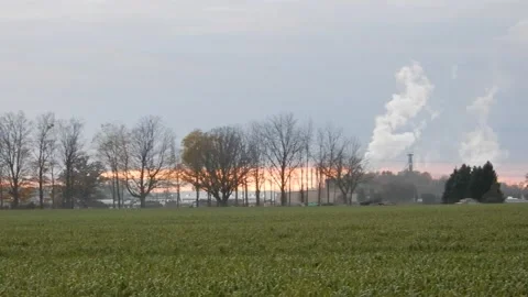 Fast Moving Closeup Panoramic Of Autumn Night Sunset With Field Of Greens Stock-Footage 164629534