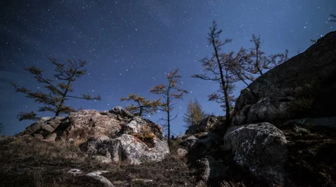 Fast moving clouds above forest. Time-lapse Stock Footage 60279753