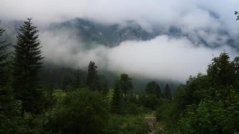 Fast moving clouds in the mountains with pine trees Video stock 96057194