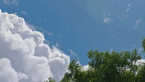 Fast Moving Clouds Over British Suburban Houses and Trees Video stock 337550989