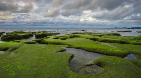 Fast Moving Clouds Over Moss Covered Beach, Timelapse Video stock 53845091