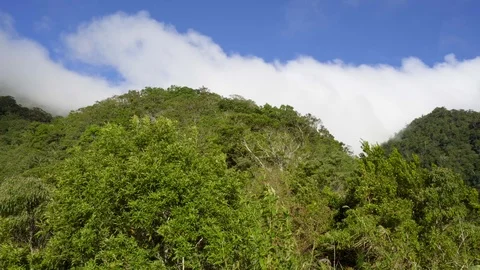 Fast moving clouds over the mountains tropical vegetation. Vídeo Stock 125546967