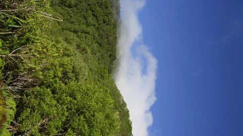 Fast moving clouds over the mountains tropical vegetation. Vertical video Stockbeeldmateriaal 126263171