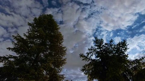 Fast-moving clouds over the night sky Stock Footage 155769308