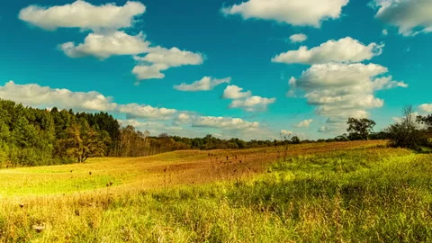 Fast Moving Clouds Over Rural Pasture Landscape - Time-lapse Stock-Footage 163824668