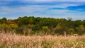 Fast Moving Clouds Over Rural Pasture Landscape - Time-lapse Video HD