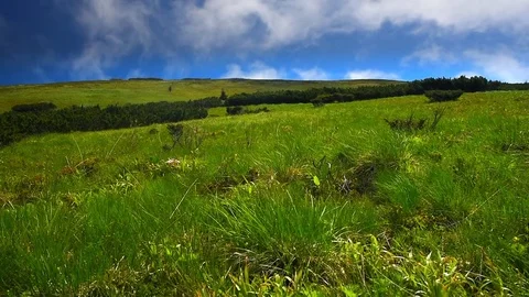 Fast moving clouds over a valley. Green grass moes fast because of wind. Stock Footage 73425856