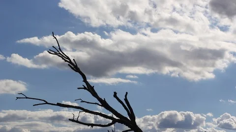 Fast Moving Clouds Time-lapse Stock Footage 126007836