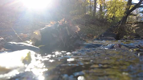 FAST MOVING CREEK Stock Footage 193723783
