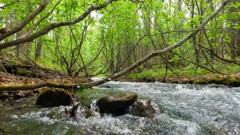 Fast moving creek, low view. Stock Footage 196943726