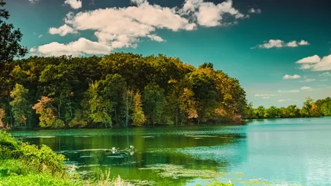 Fast-moving Cumulus Clouds Over Lake - Time-lapse Stock-Footage 163823702