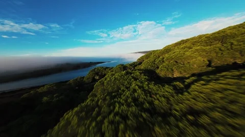 Fast-moving drone flies above forested coast where fog meets ocean Stock Footage 340903759