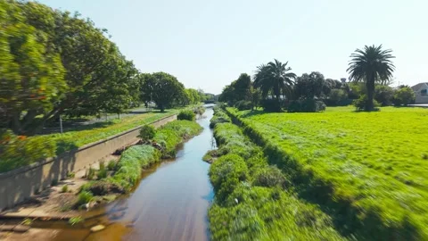 Fast-Moving Drone Flight Along Tree-Lined Park Canal, Rosebank, Cape Town 動画素材 346654052