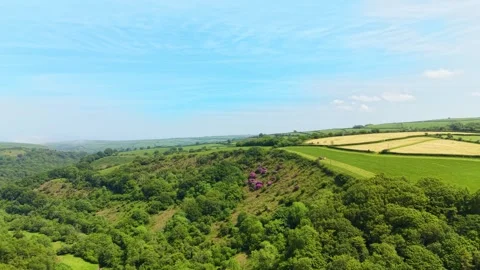 Fast Moving Drone View of Wind Valley with Vibrant, Lush Green Trees and Fields Stock Footage 337976261