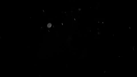 Fast Moving Dust Particles On Black Background. Real Dust Particles Randomly Vidéo 154747530