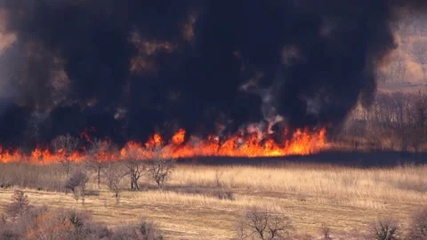 A fast-moving fire on dry grass field Stock-Footage 100159240