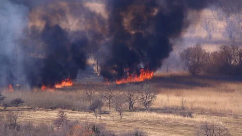 A fast-moving fire on dry grass field Stock Footage 100159397