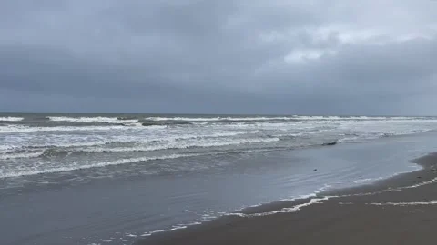 Fast moving with flying seagull alone grey coastline with waves and cloudy sky Stock Footage 279220643