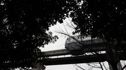 Fast moving light rail train behind the dark trees Stock Footage 47549159